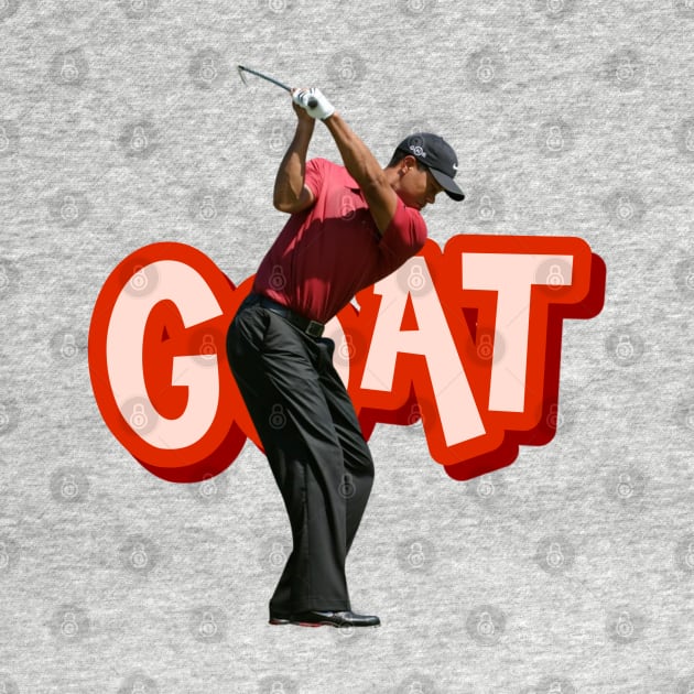 Tiger Woods Golf Swing by YungBick